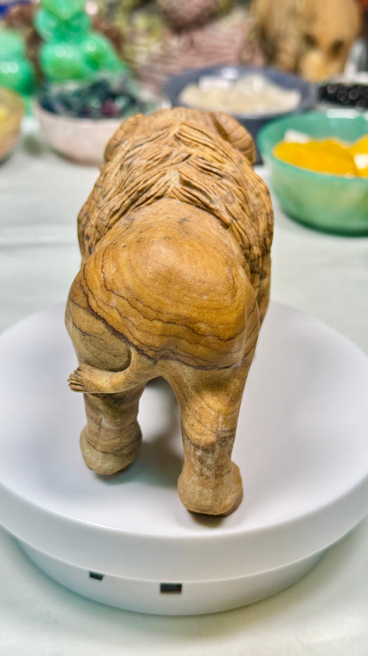 Gemstone Bufflo - Picture Jasper (Matt)