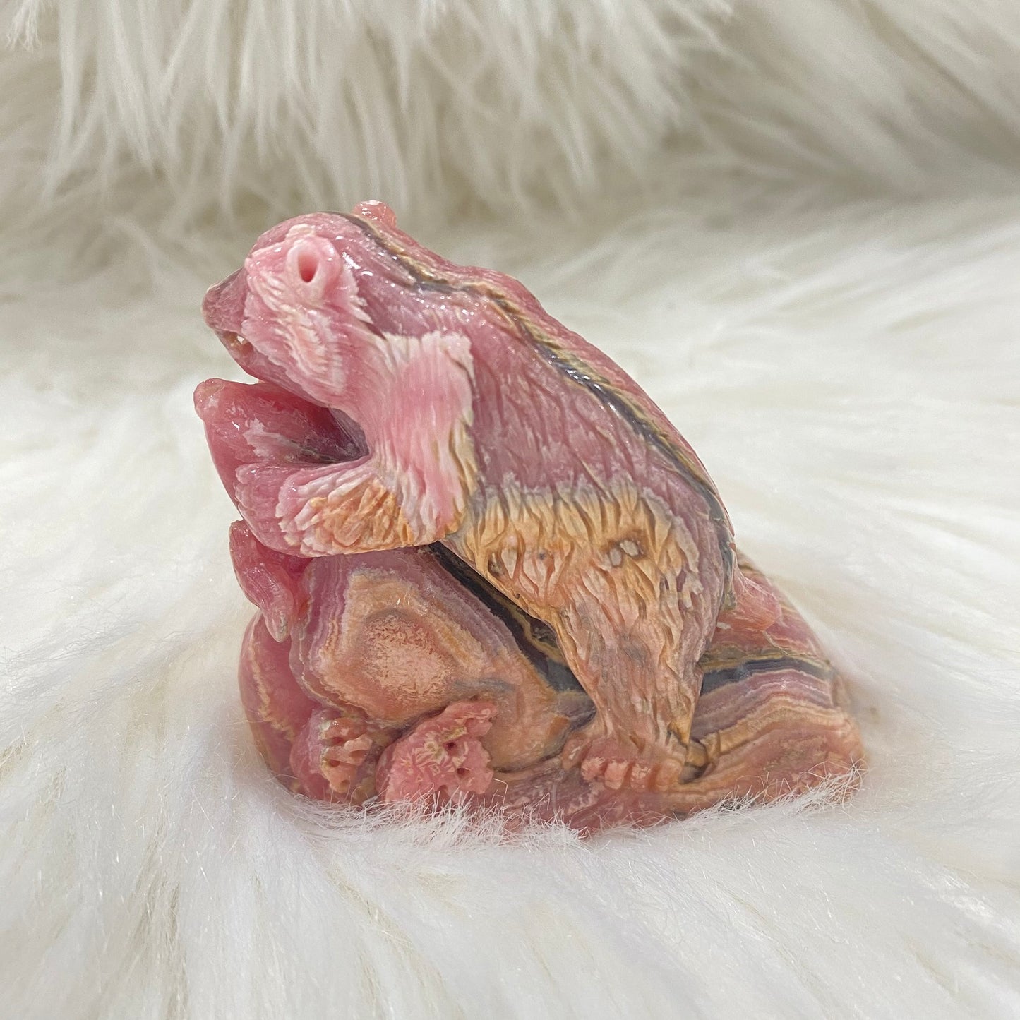 ANTHONY LIVE!-Limited Edition Rhodochrosite Figurines