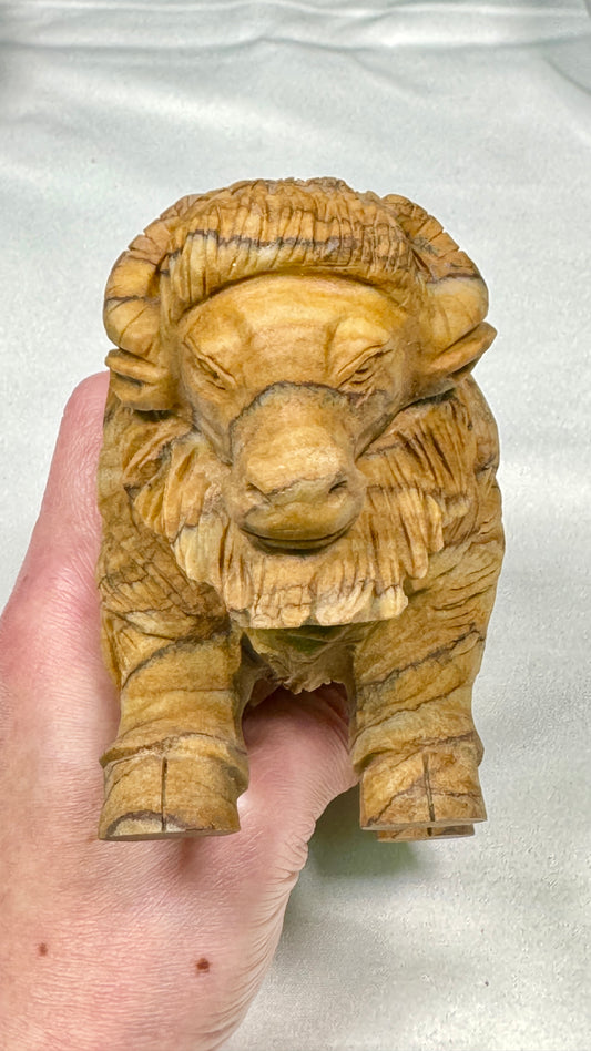 Gemstone Bufflo - Picture Jasper (Matt)