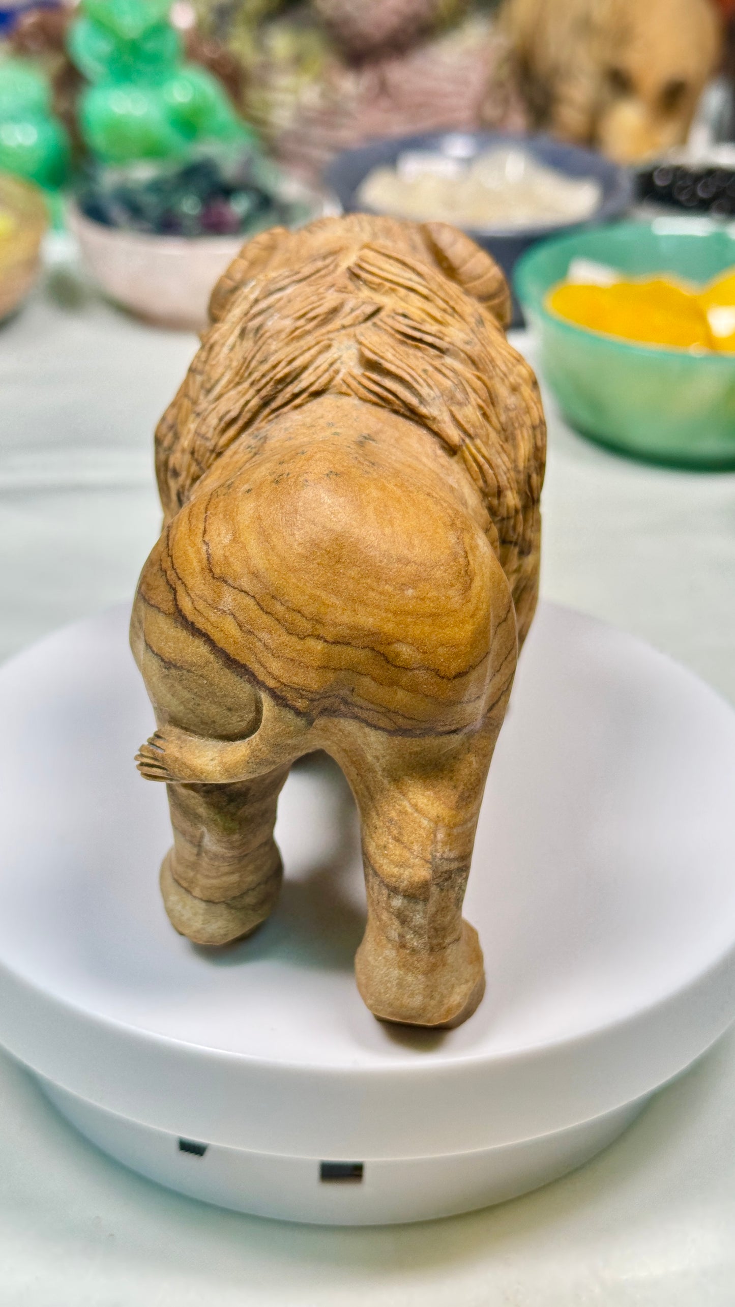 Gemstone Bufflo - Picture Jasper (Matt)